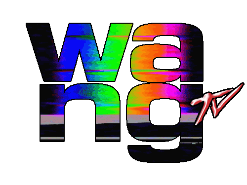 wangusa Sticker by Alexander Wang