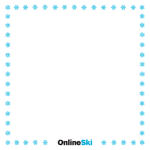 OnlineSki giphyupload Sticker