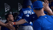 Blue Jays Baseball GIF by Toronto Blue Jays