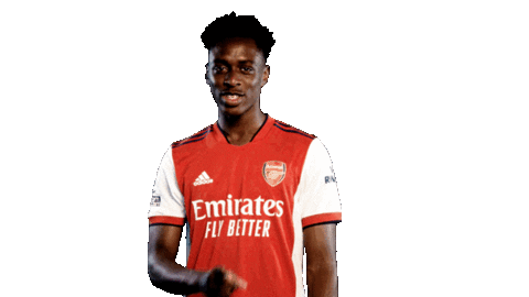 Celebrate Premier League Sticker by Arsenal