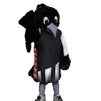 Collingwood Magpies Netball Sticker by CollingwoodFC