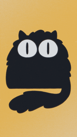 Cat GIF