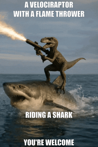 kazvorpal giphyupload shark youre welcome velociraptor GIF