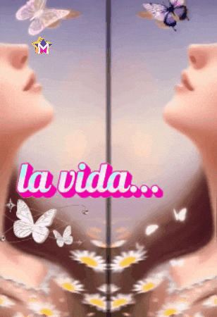 La Vida Feliz GIF by Murcianys LLC