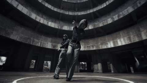 b0ffbd giphygifmaker kpop bird rizz GIF