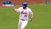 Celebrate Home Run GIF by New York Mets