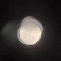 good night moon GIF by Jean Scuderi