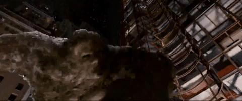 d4b123123r32513244 giphyupload GIF