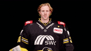 Hockey Del2 GIF by Krefeld Pinguine