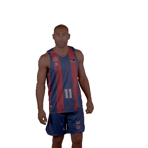 Indicate Liga Endesa Sticker by ACB