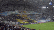 Happy Football GIF by Olympique de Marseille