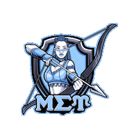 Msu Sticker by Greek Swag Pack