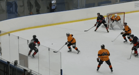 jipudich giphyupload GIF