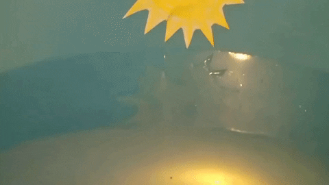 Simongip giphygifmaker GIF