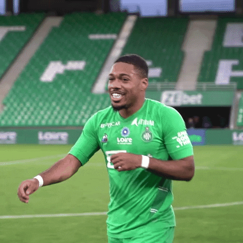 Asse Teamasse GIF by AS Saint-Étienne