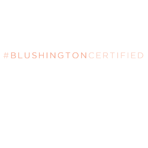 Blushington Academy For Artist Advancement Sticker by Blushington