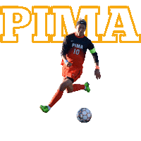 PimaCommunityCollege futbol arizona transfer tucson Sticker