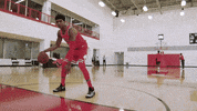 2018 draft GIF by Chicago Bulls