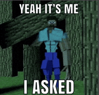 Minecraft Steve GIF