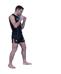 lesakfightteam mma muaythai k1 lesak Sticker