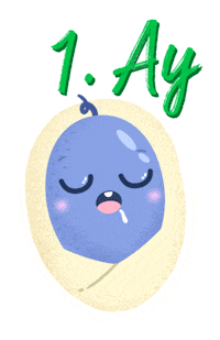 demirsaglikvehayat pregnant anne bebek demir Sticker