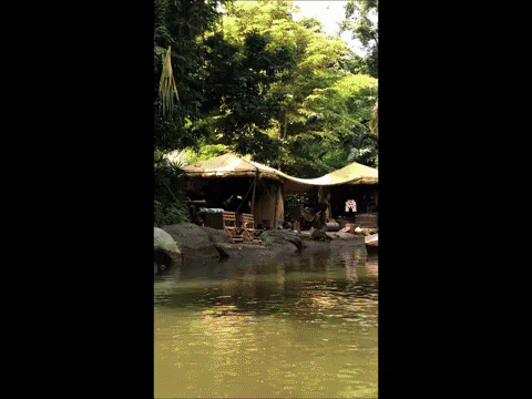 lesleywake giphygifmaker GIF