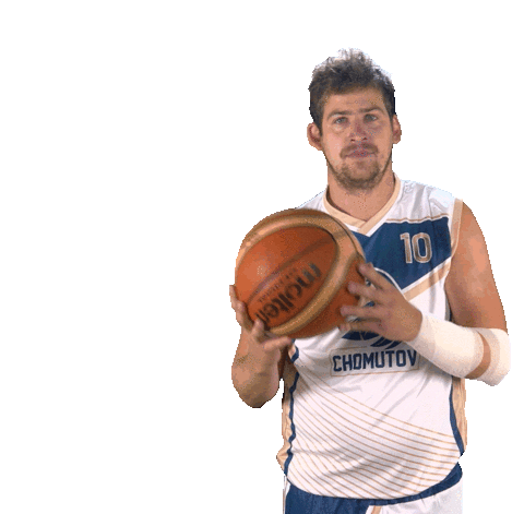 Basketball Jan Sticker by Levharti