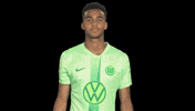 Germany Love GIF by VfL Wolfsburg