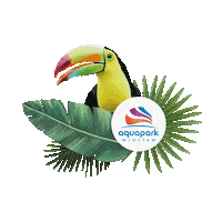 Aquapark Sticker by aquaparkwroclaw