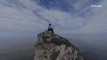 viceland GIF by ABANDONED