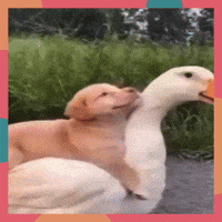 Hug For You GIF by The3Flamingos