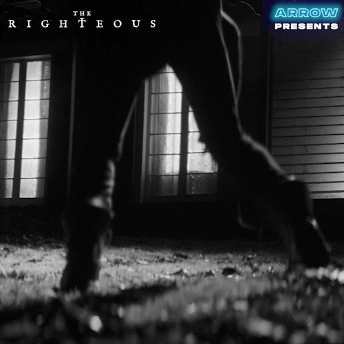 Late Night Reaction GIF by Arrow Video