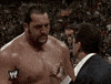 big show wrestling GIF by WWE