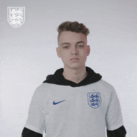 Three Lions Football GIF by England