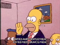 Season 1 Episode 3 GIF by The Simpsons