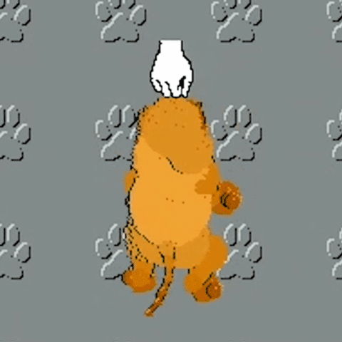 dog puppy GIF