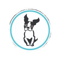 doodledogsyyc doodledogsyyc doodledogs yycdogs doodledogsboutique Sticker