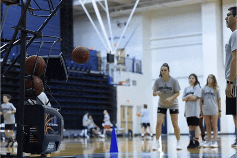 coachtonymiller giphyupload bob jones university bju bruins dr dish GIF