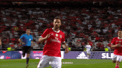 sl benfica football GIF by Sport Lisboa e Benfica