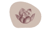 Coach Lotus Sticker by Ktnknwn