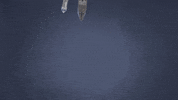 ocean boat GIF by South Park 