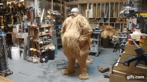 bear costume GIF