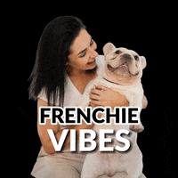 monikaamazur bbm bodybymonika monika mazur body by monika GIF