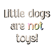 Small Dogs Rainbow Sticker