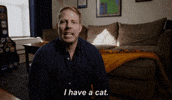 loveconnectionfox cat cats fox fox tv GIF