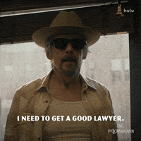 Sue Ethan Hawke GIF by FX Networks