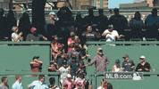bos GIF by MLB