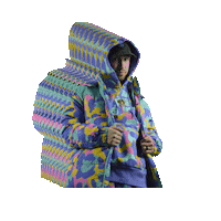 friendlyneighborrecords music 90s artist rap Sticker