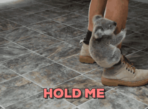 GIF by becky