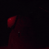 Heaven Shall Burn Virus GIF by Century Media Records